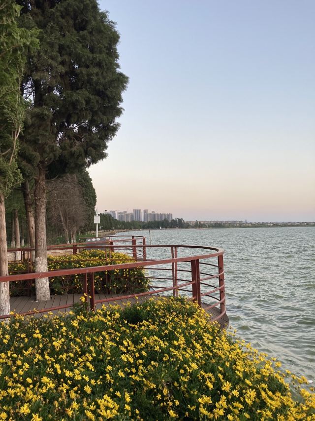 海洪湿地泼水广场旅行图片 2