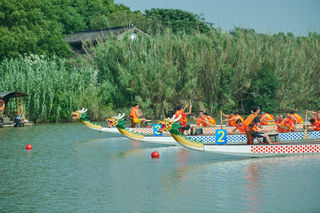 斩浪沙家浜，端午时节“龙纷飞”