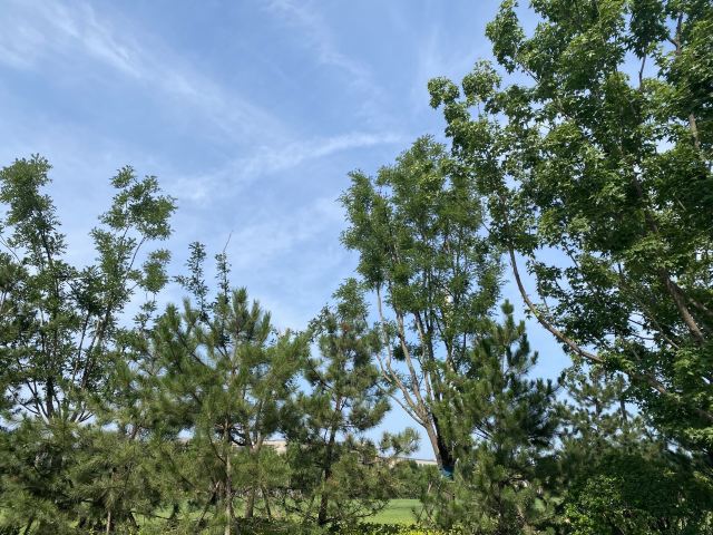 光年城中央公园旅行图片 2