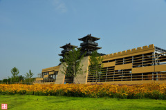 新郑游记图片] 来苑陵故城 沐浴秦风汉韵 吟诵郑风离歌