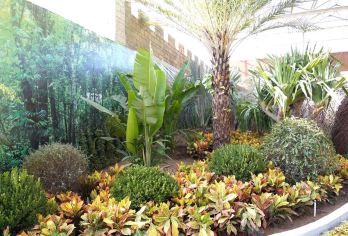 神农百草园·活体昆虫生态博览馆+中华郡虎园一日游【人文自然】【神农百草园·活体昆虫生态博览馆 分 热带雨林区 创意农业区 休闲体验区 栽培研学区】