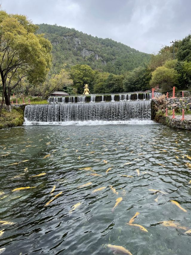 丽江玉水寨风景区旅行图片 1