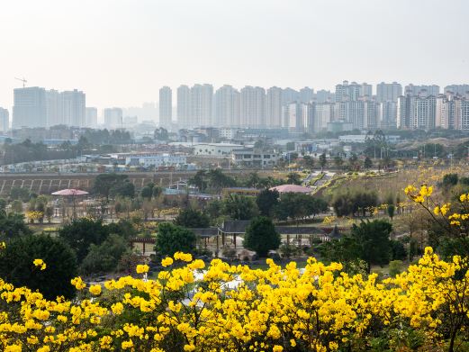 南宁市江南公园