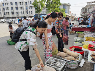 石台黄崖大峡谷、怪潭景区、铜陵大通古镇一日游