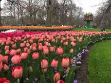 阿姆斯特丹郁金香博物馆-阿姆斯特丹-小思文