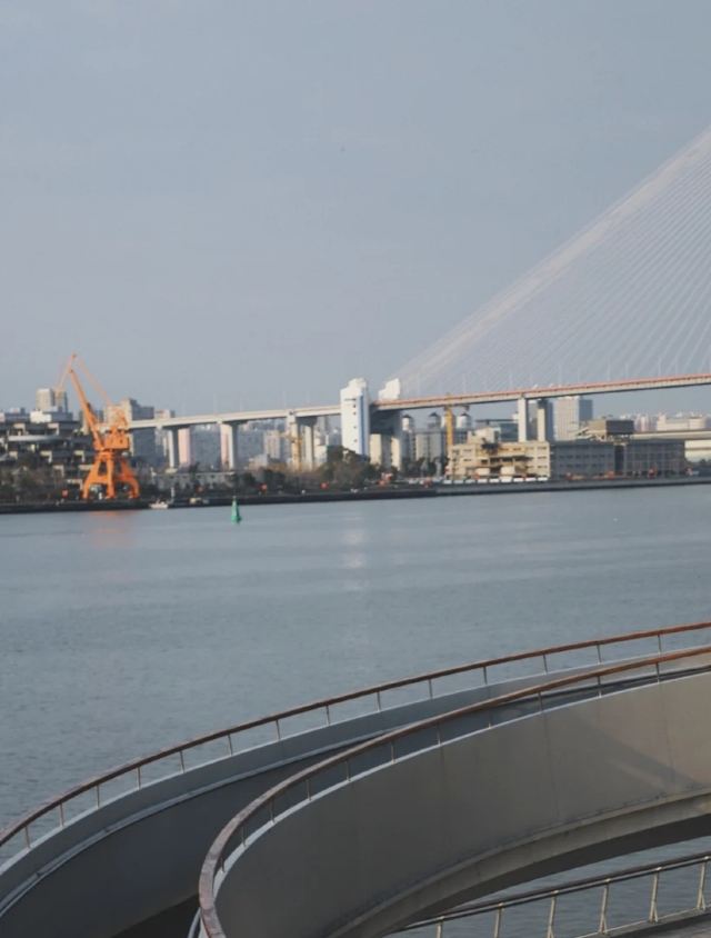大桥公园旅行图片 3