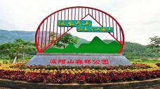 派阳山森林公园-宁明-C-IMAGE