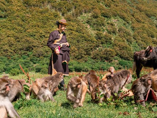 林则生态文化旅游景区