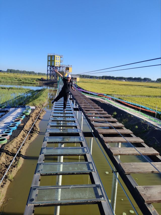 辽中蒲河稻乡稻田画景区旅行图片 2