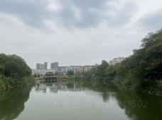 鹅湖(夕阳红)公园-萍乡-m52****502
