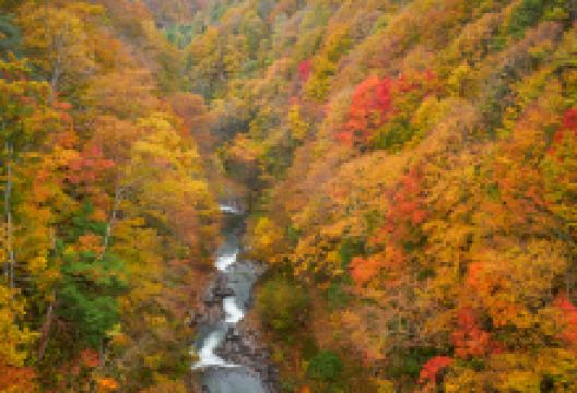 中津川渓谷景点图片