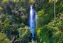 海南百花岭热带雨林文化旅游区景点图片