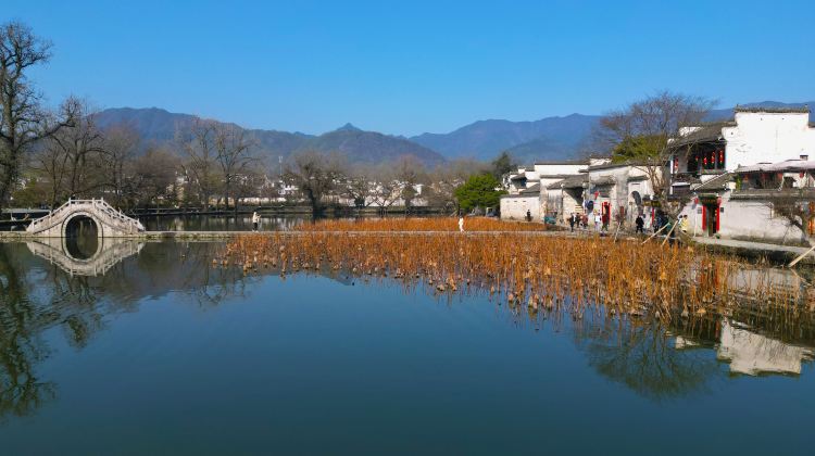 5-Day Huangshan Scenic Area + Hongcun Village + Xidi + Wuyuan Huangling