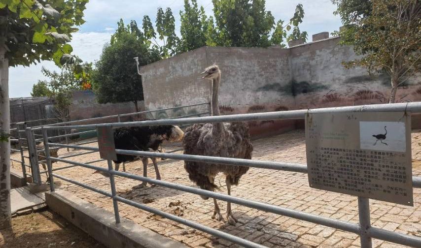 亳州野生动物园