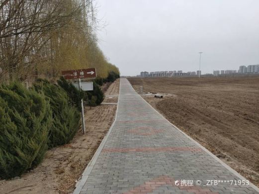 通辽薰衣草园