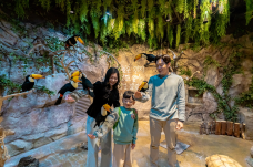 Zoolung Zoolung室内萌宠乐园(SEOUL TIMES SQUARE分店)-首尔