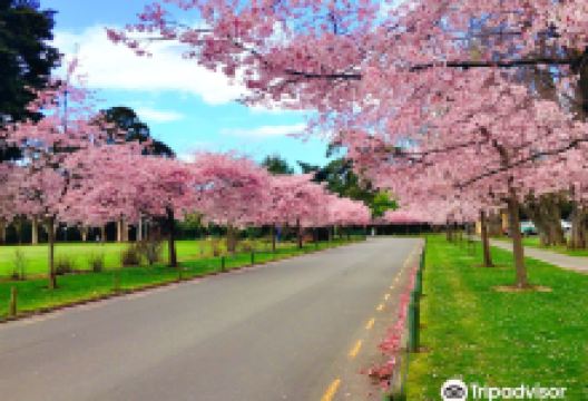 The Victoria Esplanade景点图片