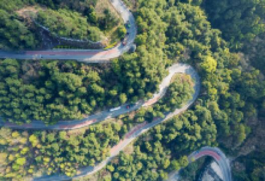 歌乐山国家森林公园景点图片