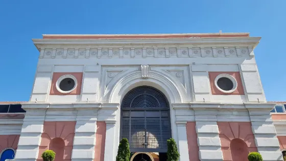 Vecchia Dogana