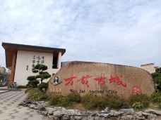 万载古城-万载-大松树叶子