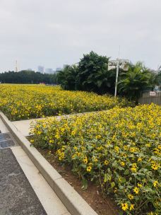 海心沙亚运公园-广州-行走在地球村