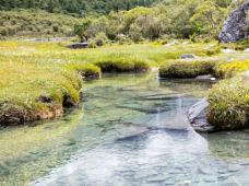 稻城亚丁-冲古草甸-稻城-enjoyzent