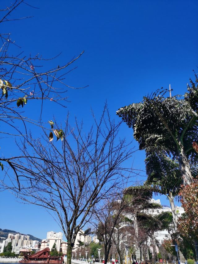 个旧市金湖公园旅行图片 2