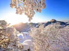 蒙阴游记图片] 嘿，给我你的手，一起去追寻冬日里的小情调