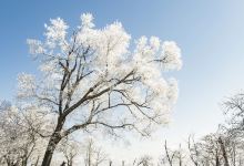 城山公园景点图片