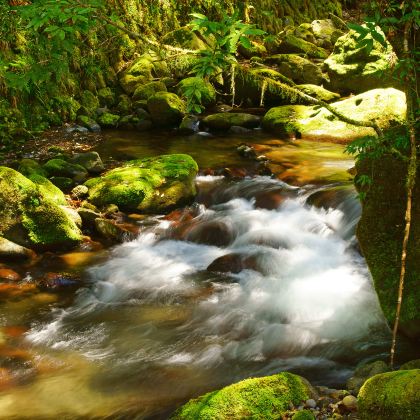 安庆+九华山+明堂山风景区2日1晚私家团