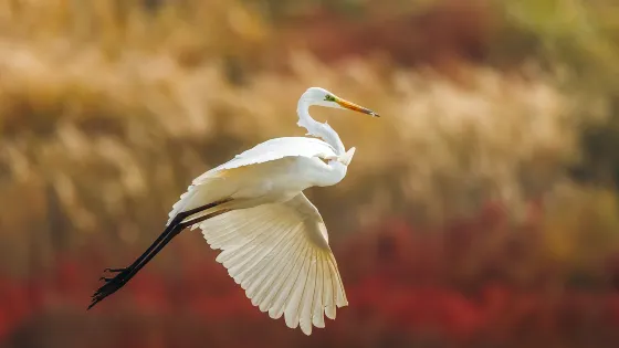 中國長樂海蚌公園