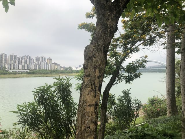 邕江北岸公园旅行图片 4