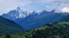 猫鼻梁-小金-明王不动尊