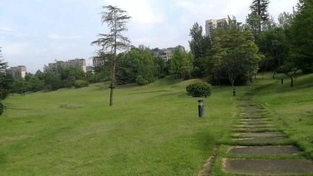 万科五龙山公园旅行图片 2