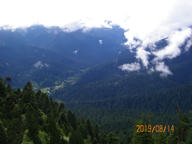 鲁朗林海风景区旅行图片 2