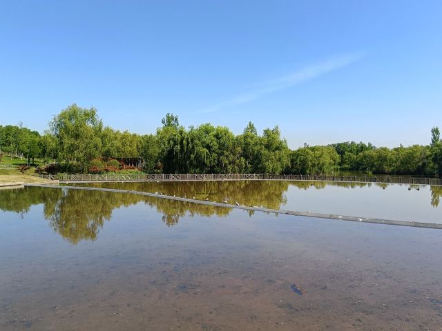 西安浐灞国家湿地公园旅行图片 1