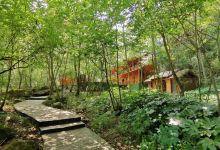 平利桃花溪景区景点图片