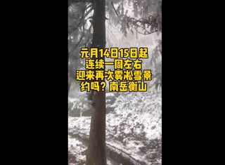 2023年南岳衡山冬季旅游攻略 南岳衡山雾凇雪景等你来 