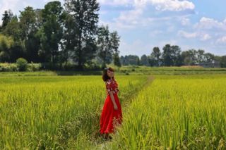 稻田野餐&包场看银河!这个小城很出名,但你大概率没听过!