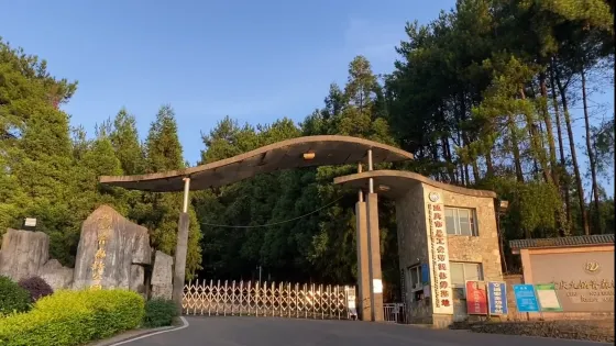 九鍋箐森林公園