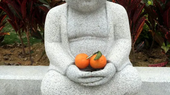 赤蝶山覺源寺