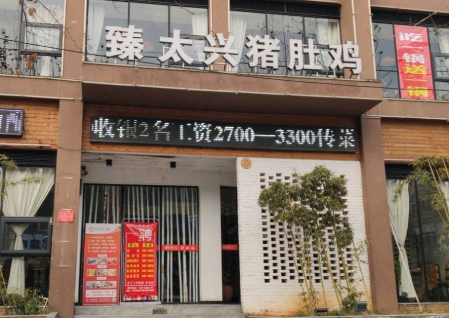 臻太兴猪肚鸡(伊川店)