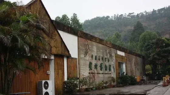 蜜蜂博物館