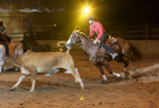 澳野奇观表演景点图片