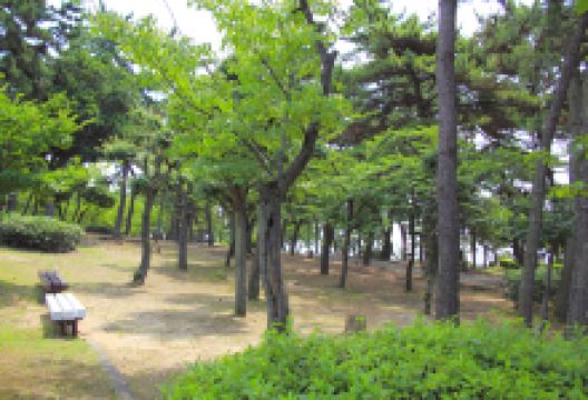 须磨浦公园景点图片