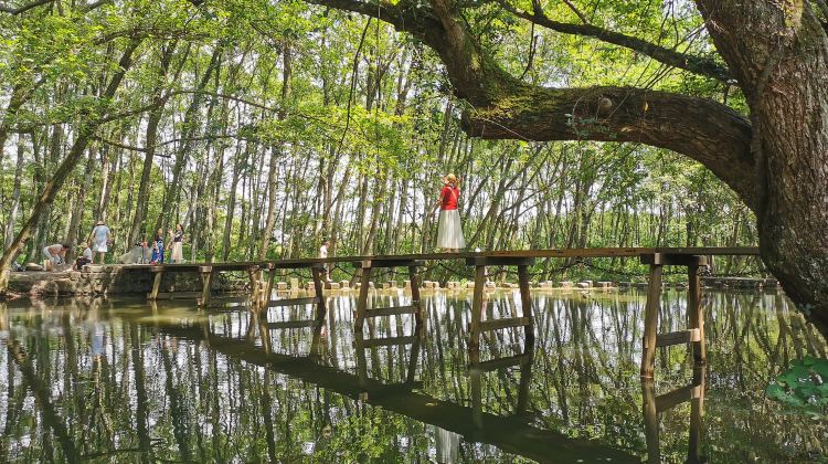 4-Day Hongcun Village+Huizhou Ancient Town+Qiyunshan Mountain Ecological And Cultural Tourism Zone+Xixinan Ancient Village