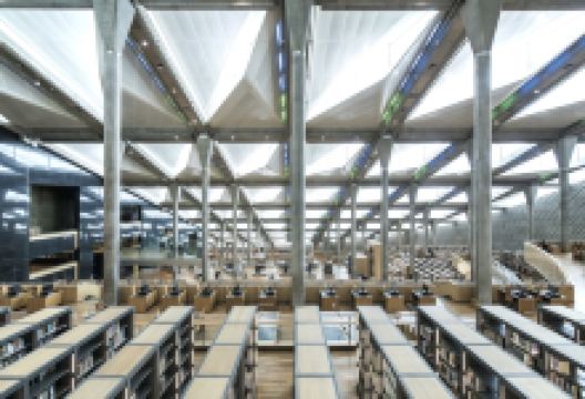 亚历山大图书馆景点图片