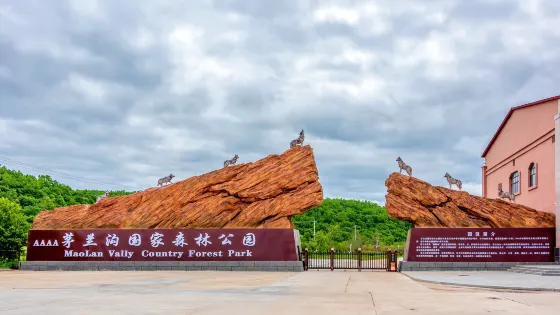 茅蘭溝國家森林公園-茅蘭溝地質公園