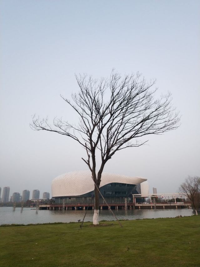 天镜湖公园旅行图片 7