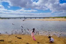 瓦南布尔-瓦南布尔-优的良仕